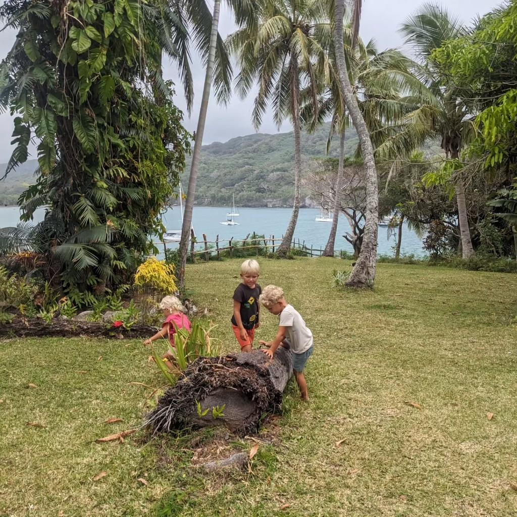 Výhled do kotviště